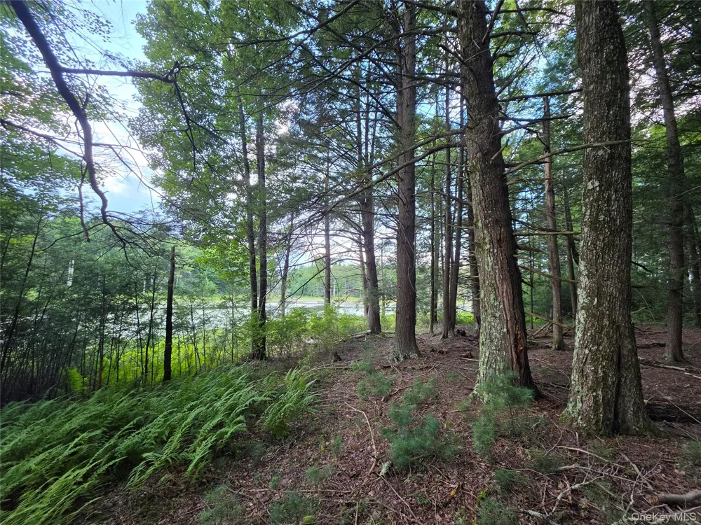 Lot 23 Deer Meadow Road Bethel, NY 12720