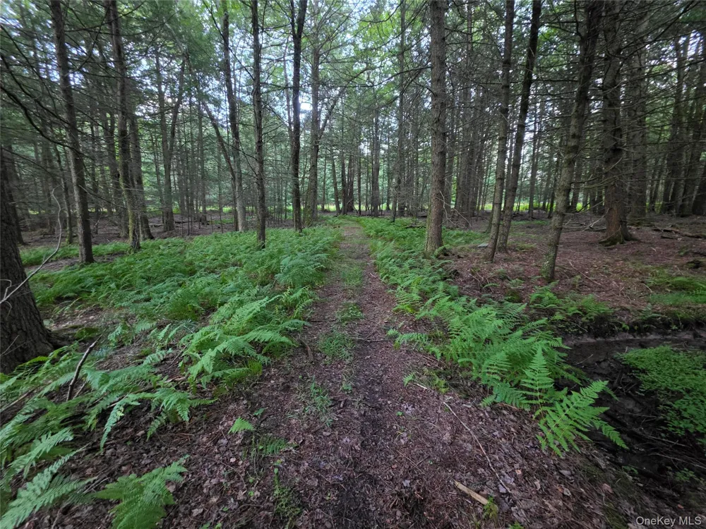 Lot 23 Deer Meadow Road Bethel, NY 12720