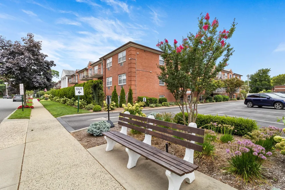 250 Village Avenue #B 10 Rockville Centre, NY 11570