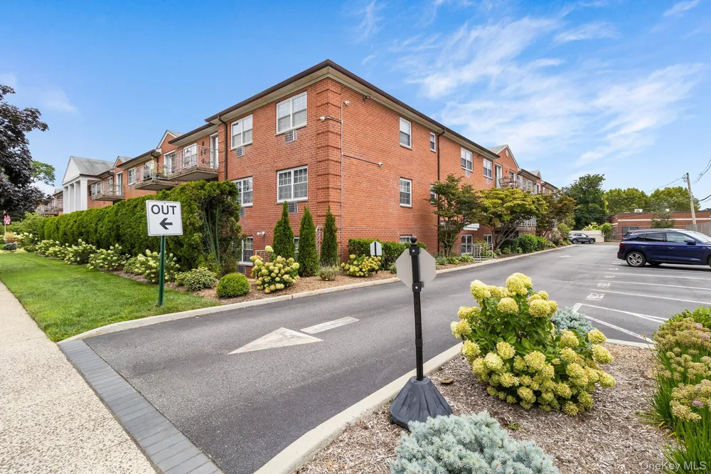 250 Village Avenue #B 10 Rockville Centre, NY 11570