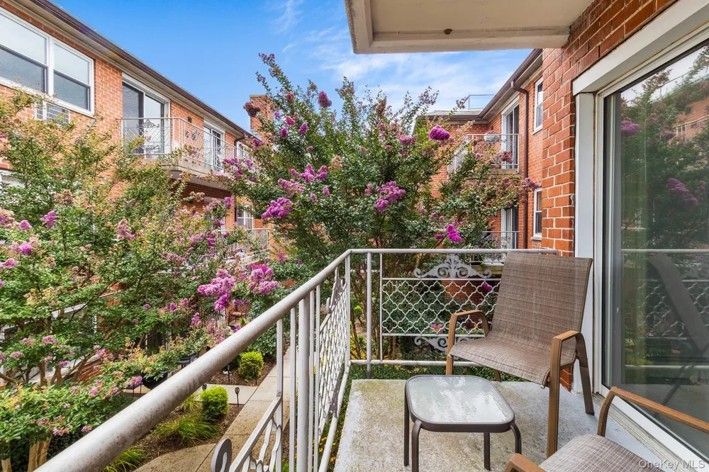 250 Village Avenue #B 10 Rockville Centre, NY 11570