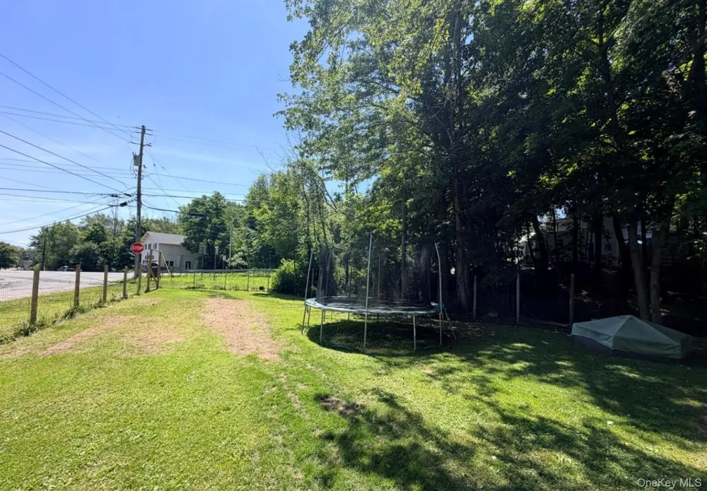 317 Chestnut Street Liberty, NY 12754