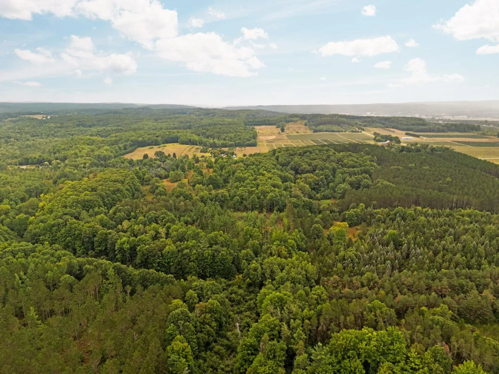 2216 W 16 ROAD Antioch Township, MI 49668