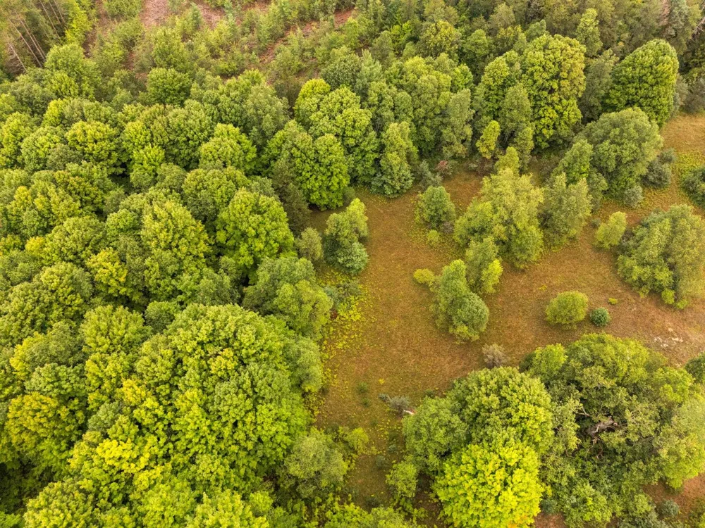 2216 W 16 ROAD Antioch Township, MI 49668