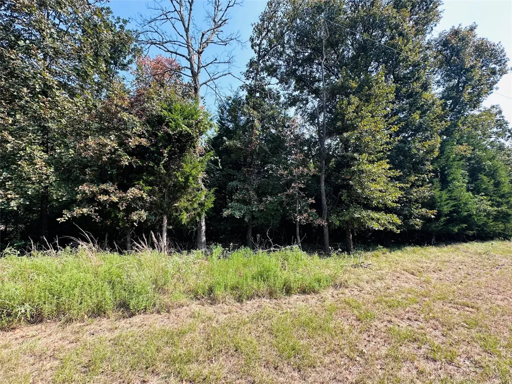 12 Pedernales North Athens, TX 75752