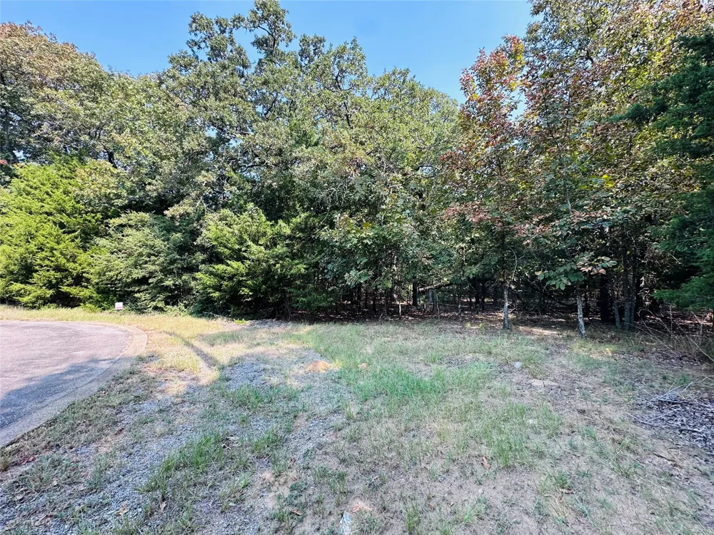 12 Pedernales North Athens, TX 75752