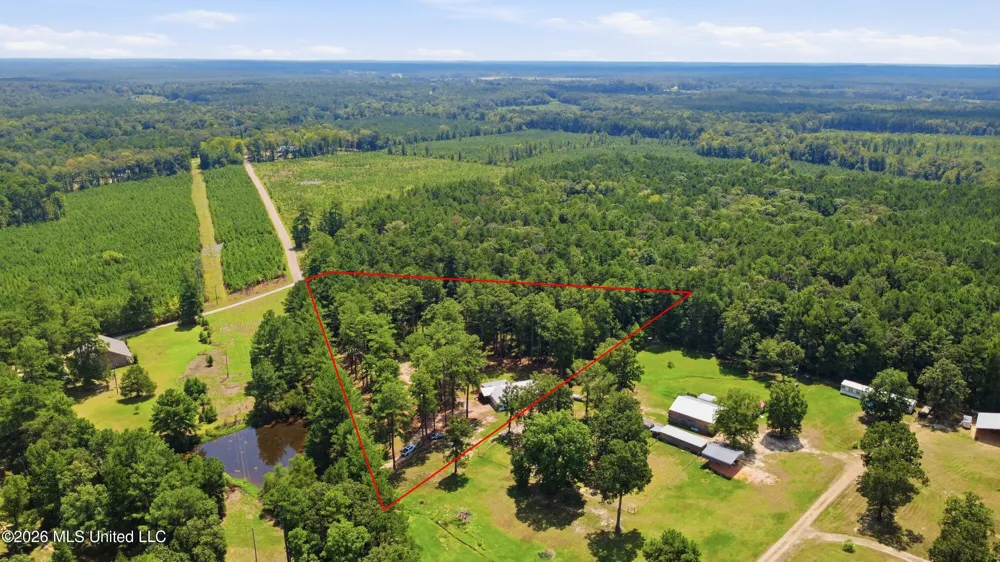 199 Easy Street Braxton, MS 39044