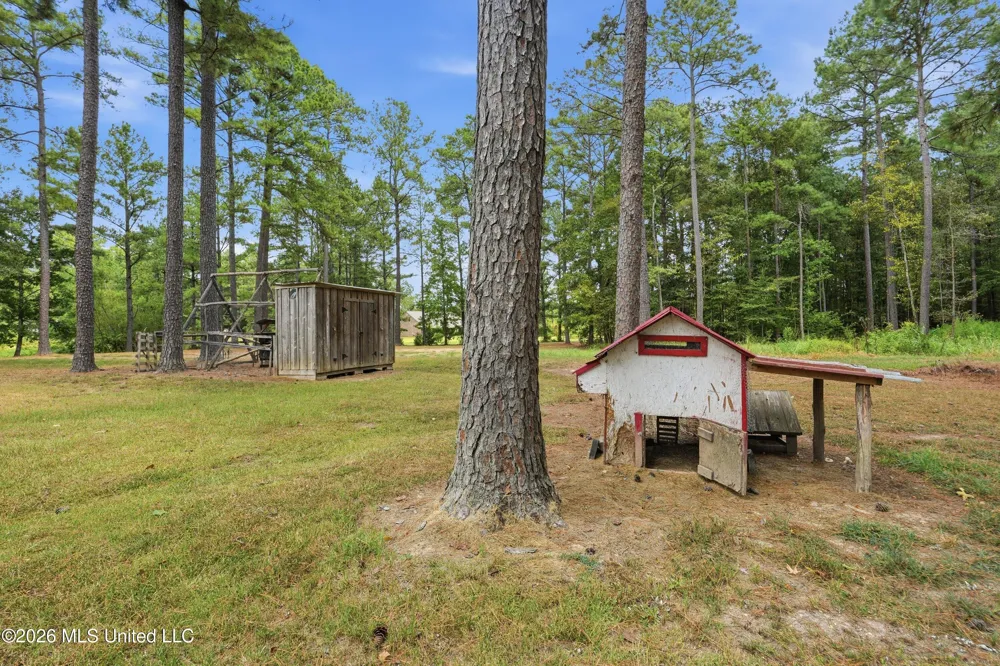 199 Easy Street Braxton, MS 39044