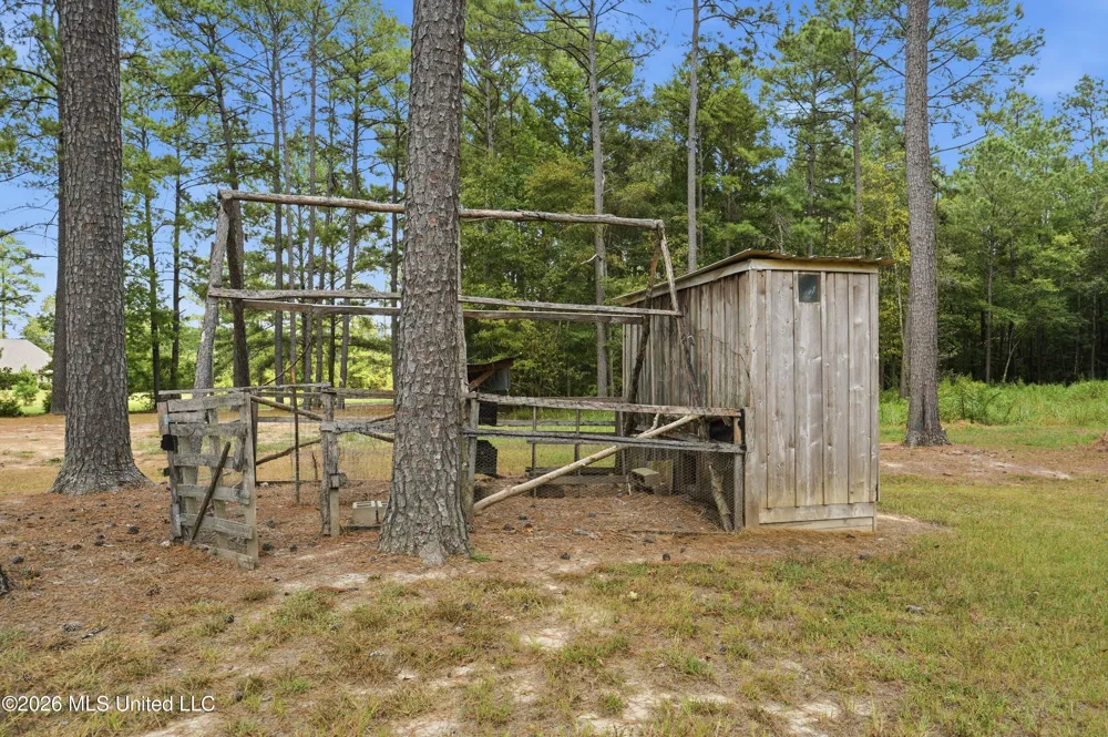 199 Easy Street Braxton, MS 39044
