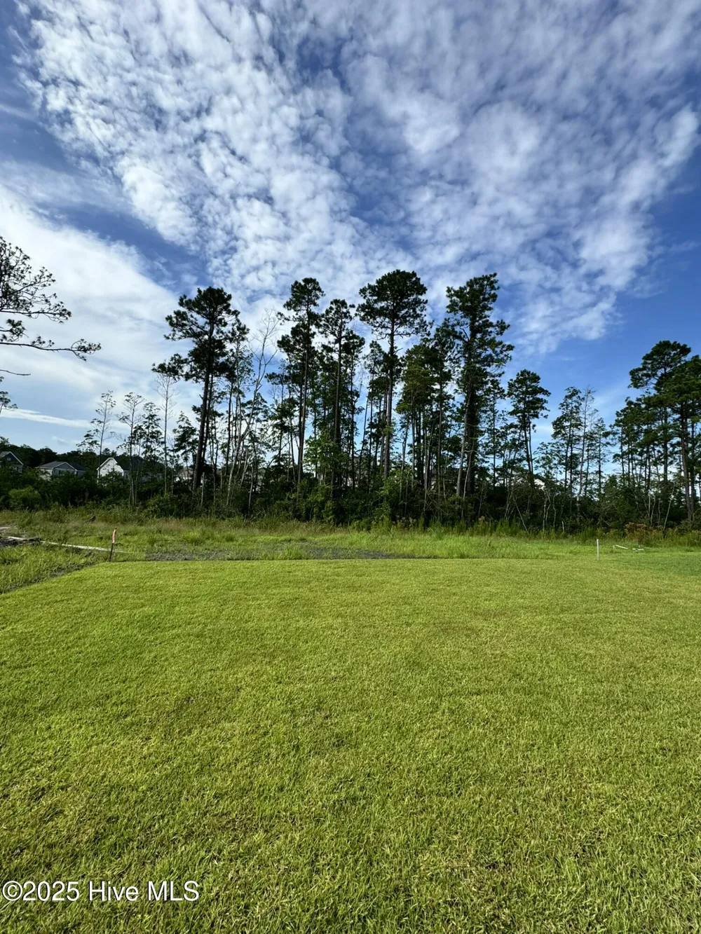 2729 Longleaf Pine Circle Leland, NC 28451