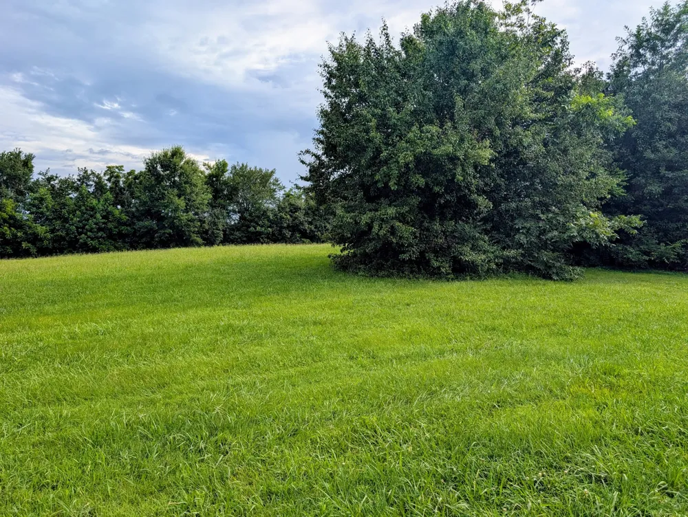 649 Blair Pond Rd Winchester, TN 37398