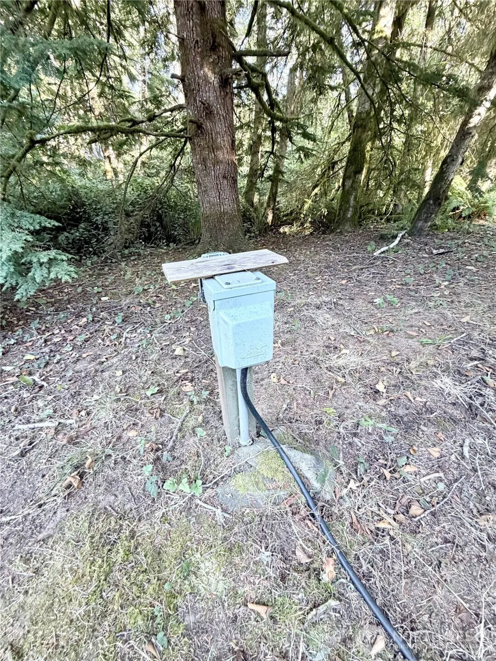 28310 1 LANE Ocean Park, WA 98640