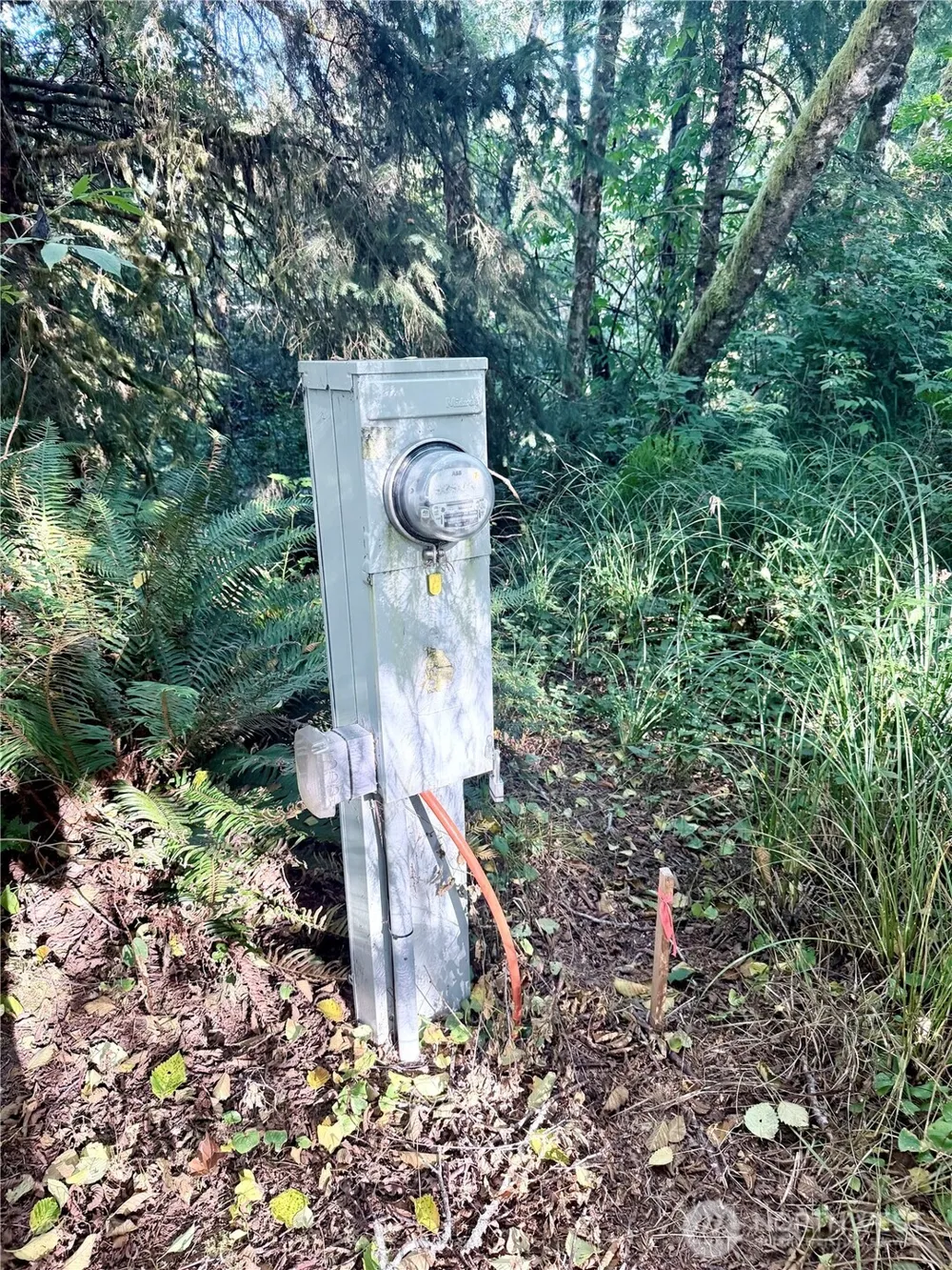 28310 1 LANE Ocean Park, WA 98640