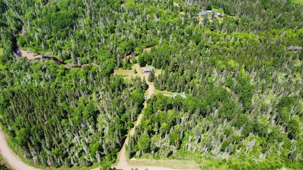 4679 Correll Road Finland, MN 55603