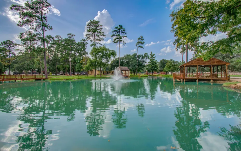 22927 Northoak Forest Lane Spring, TX 77389