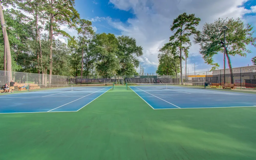 22927 Northoak Forest Lane Spring, TX 77389