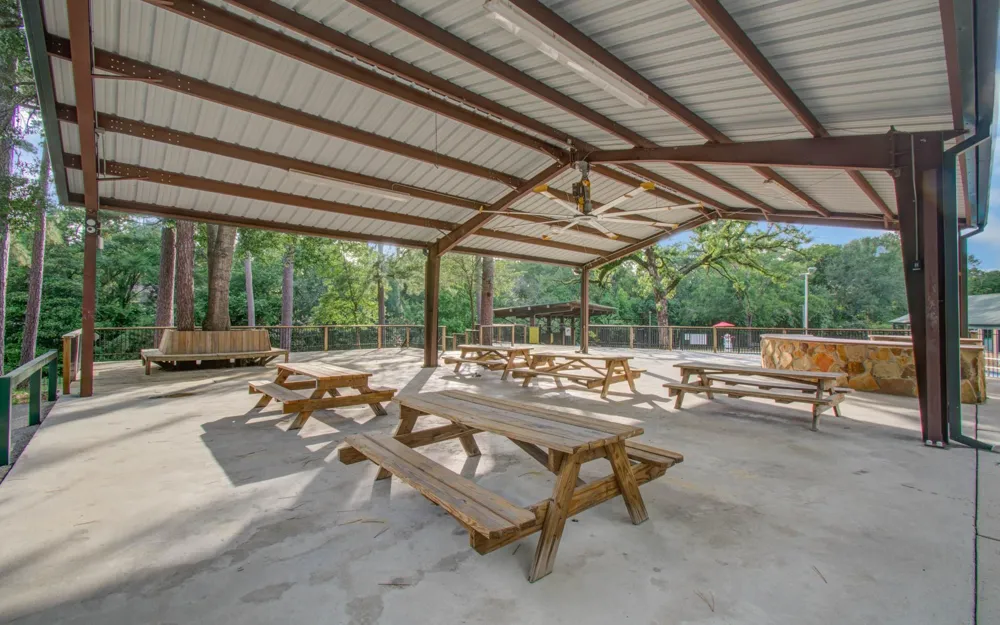 22927 Northoak Forest Lane Spring, TX 77389
