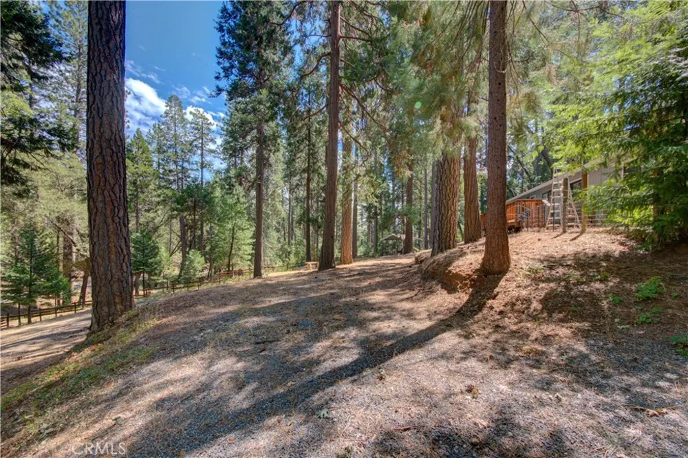 15430 Kingridge Circle Forest Ranch, CA 95942