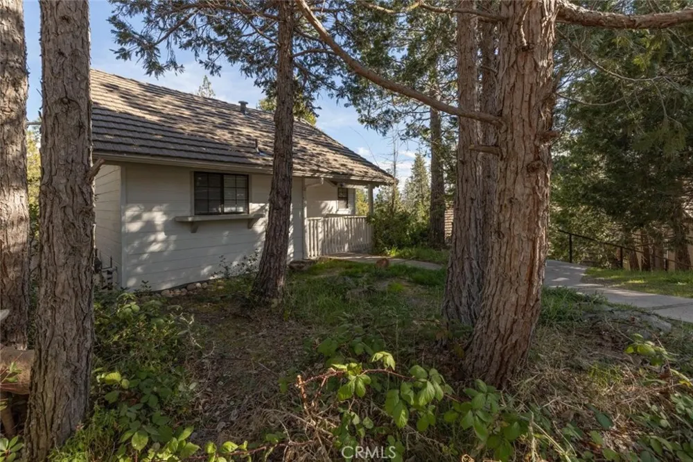 50850 Smoke Tree Bass Lake, CA 93604