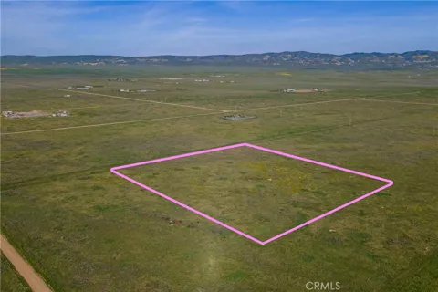 Corona