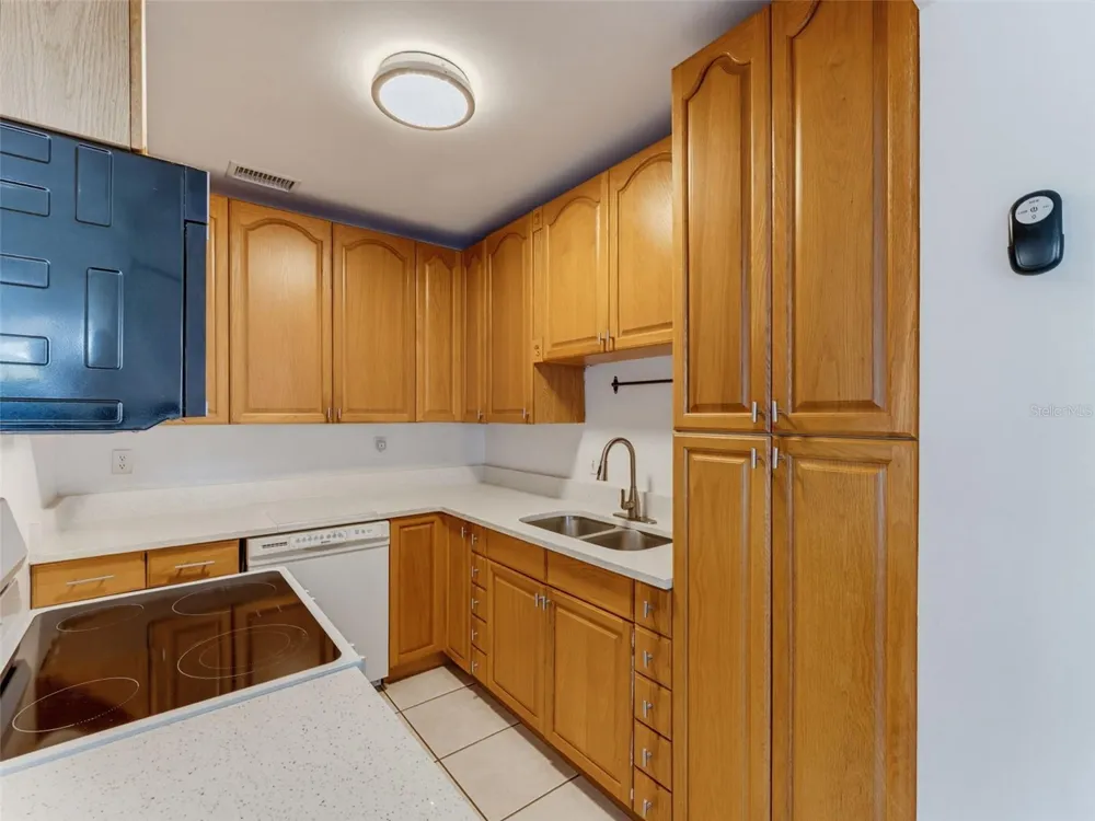 439 BRIARWOOD LANE Spring Hill, FL 34606