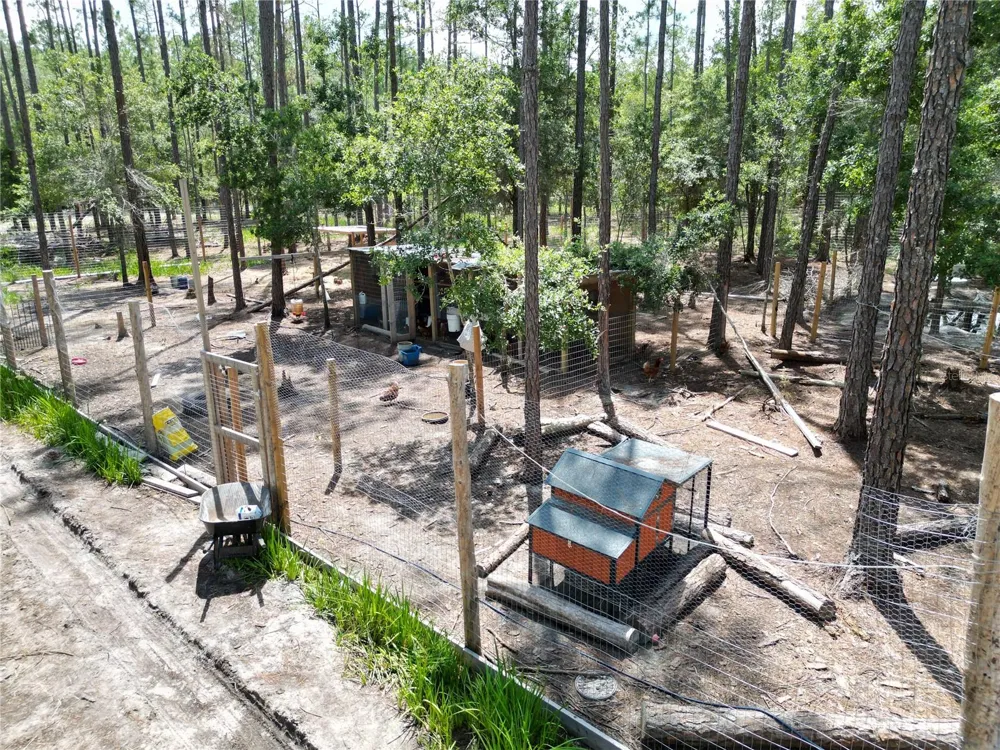 8186 SW 155 STREET Dunnellon, FL 34432