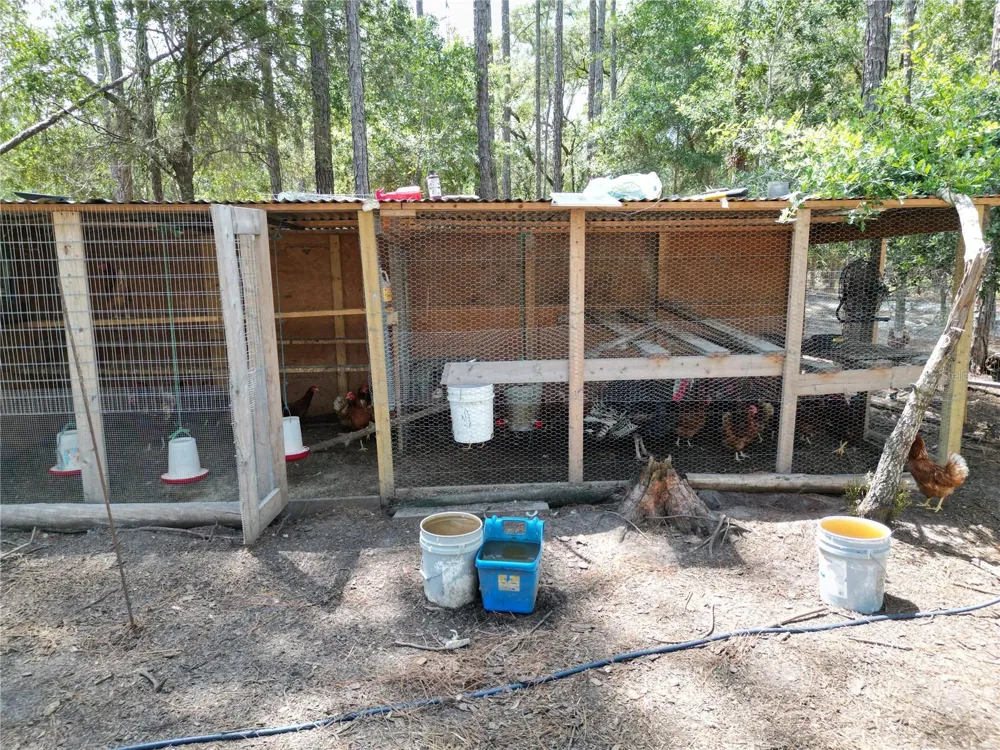 8186 SW 155 STREET Dunnellon, FL 34432