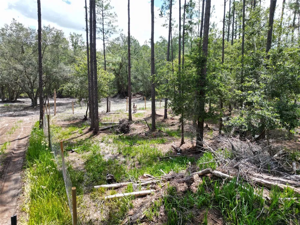 8186 SW 155 STREET Dunnellon, FL 34432