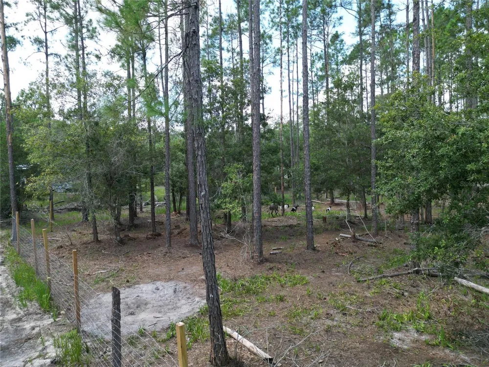 8186 SW 155 STREET Dunnellon, FL 34432