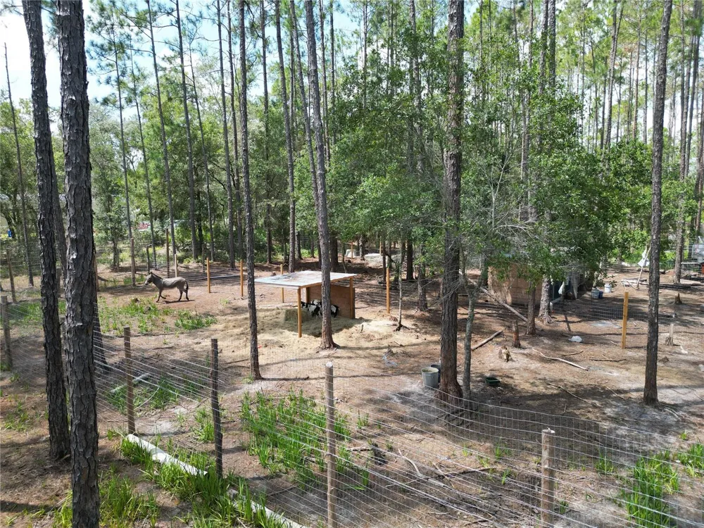 8186 SW 155 STREET Dunnellon, FL 34432