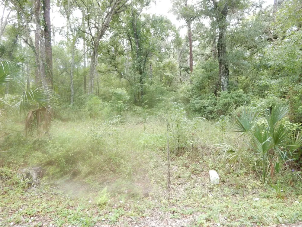 CENTRAL AVENUE Zephyrhills, FL 33540