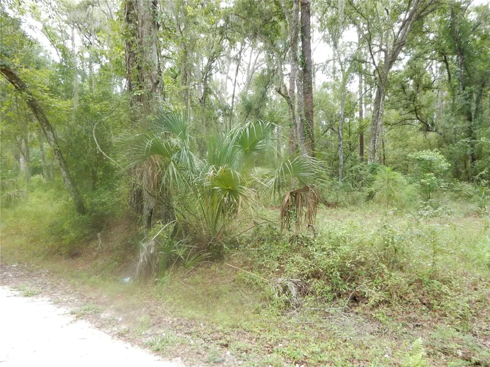 CENTRAL AVENUE Zephyrhills, FL 33540