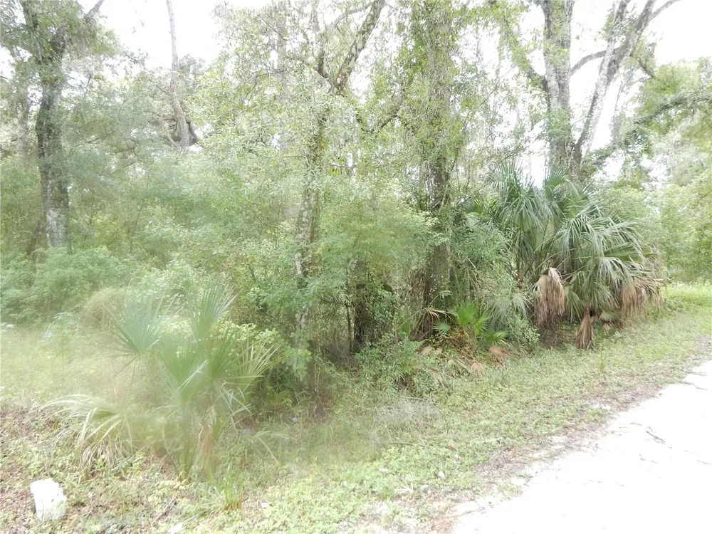 CENTRAL AVENUE Zephyrhills, FL 33540