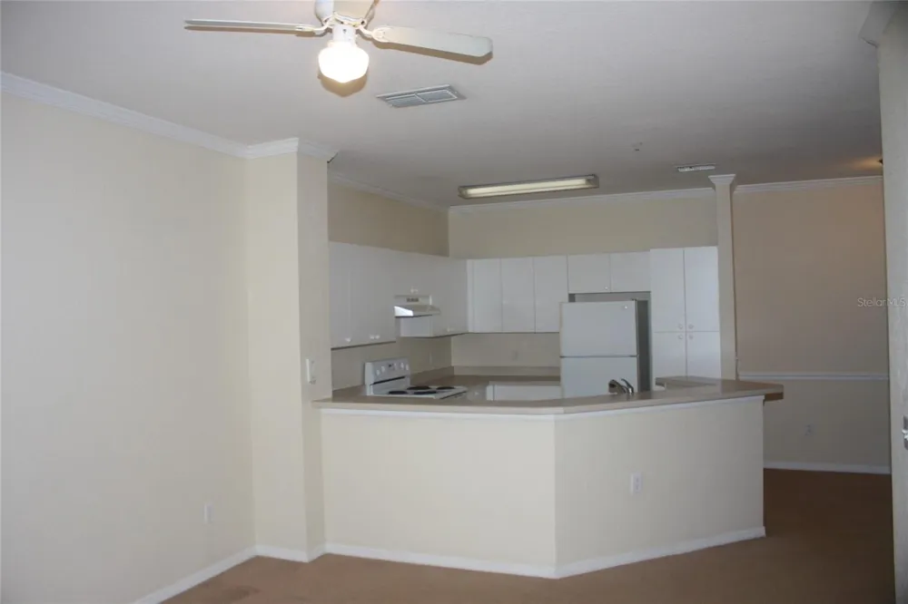 3561 CONROY ROAD #234 Orlando, FL 32839