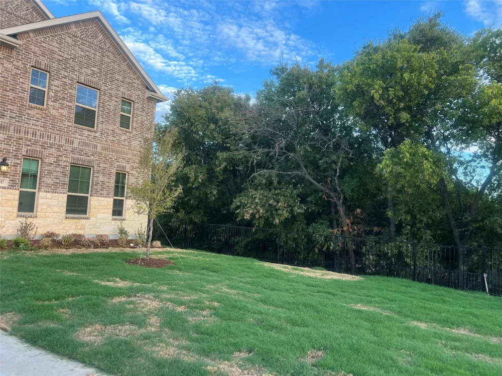 15017 Sagasta Court Little Elm, TX 75068