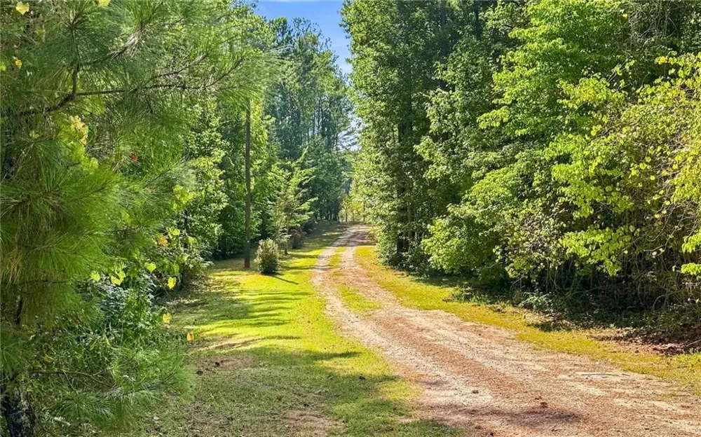 2762 Lester Mill Road Locust Grove, GA 30248