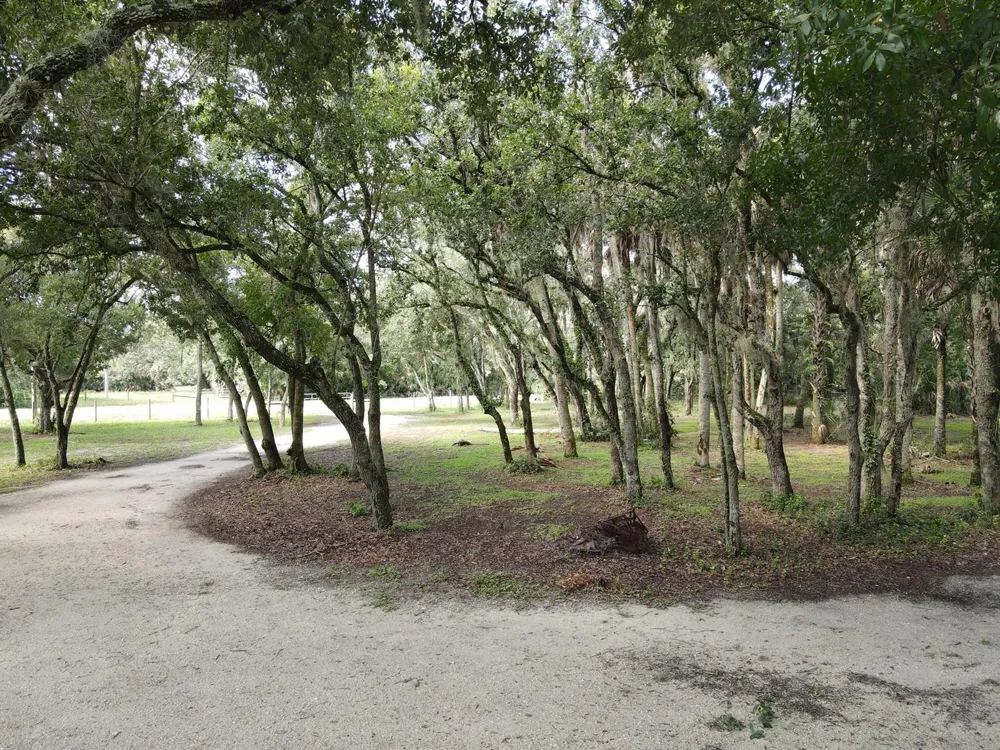 14985 NW 300TH STREET Okeechobee, FL 34972