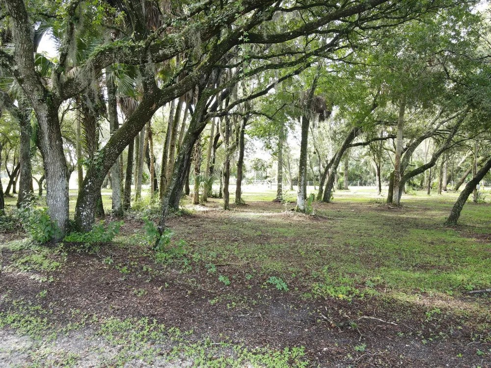 14985 NW 300TH STREET Okeechobee, FL 34972