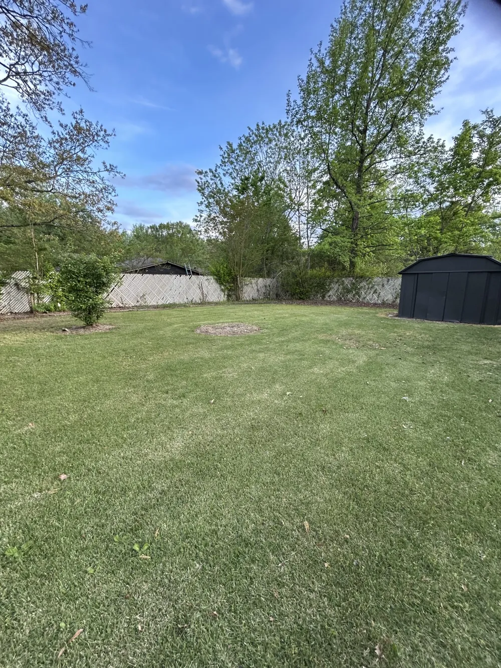 36 Sweetbay Dr Jackson, TN 38301