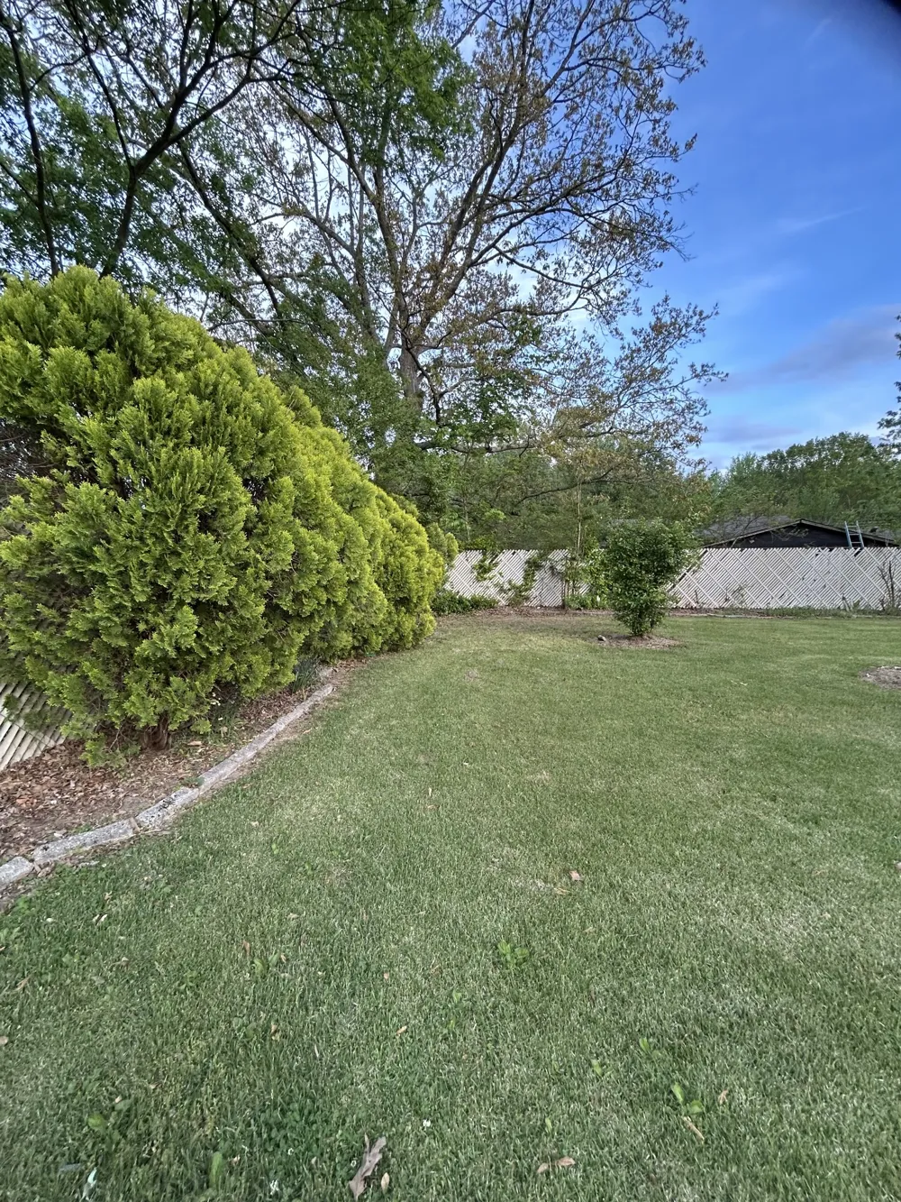 36 Sweetbay Dr Jackson, TN 38301
