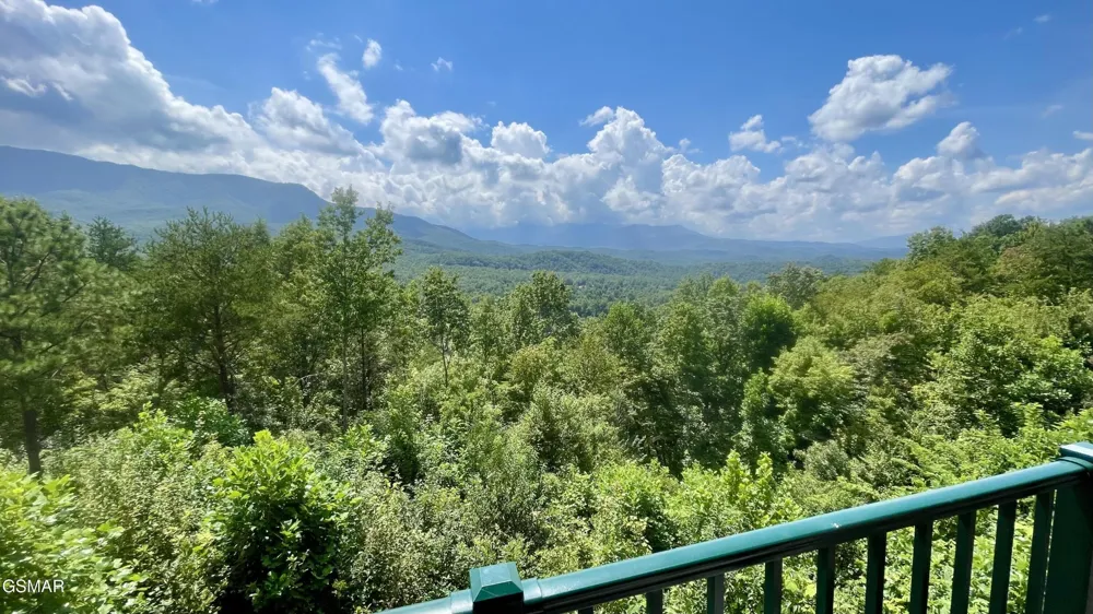 3710 Weber Road #102B Gatlinburg, TN 37738