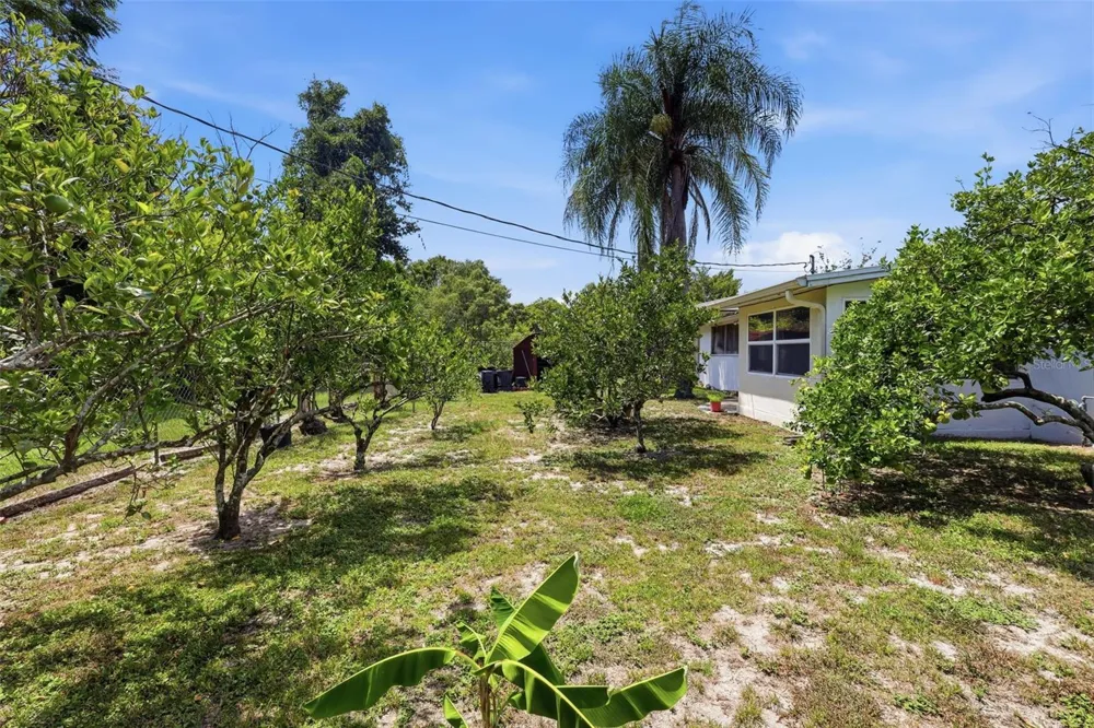 709 HAGER STREET Deltona, FL 32725