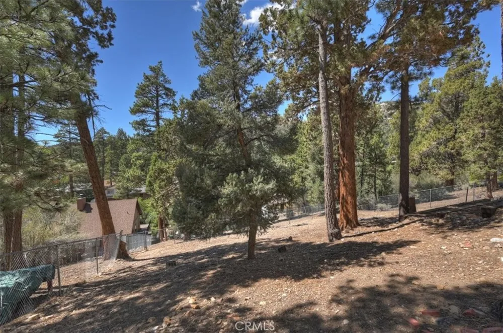 911 Panamint Mountain Big Bear City, CA 92314