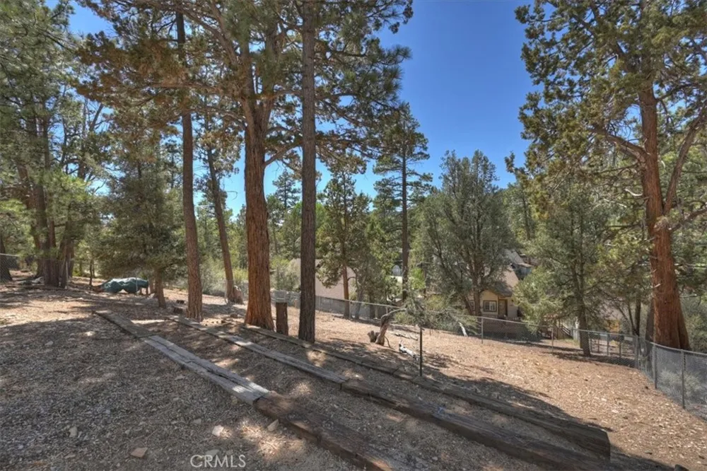 911 Panamint Mountain Big Bear City, CA 92314