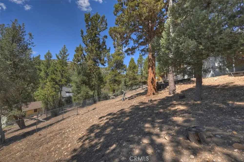 911 Panamint Mountain Big Bear City, CA 92314