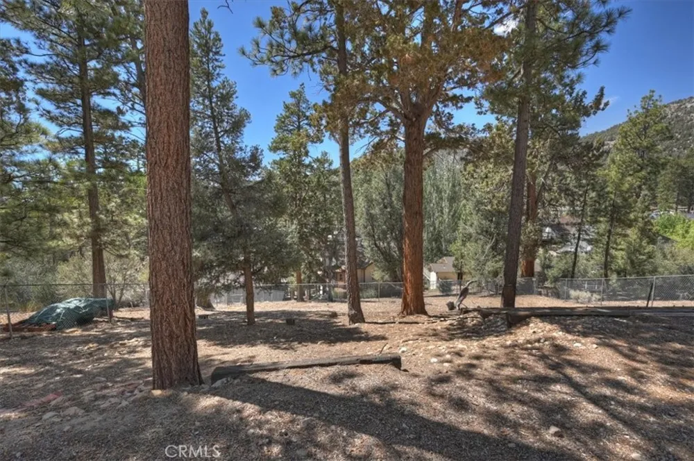 911 Panamint Mountain Big Bear City, CA 92314