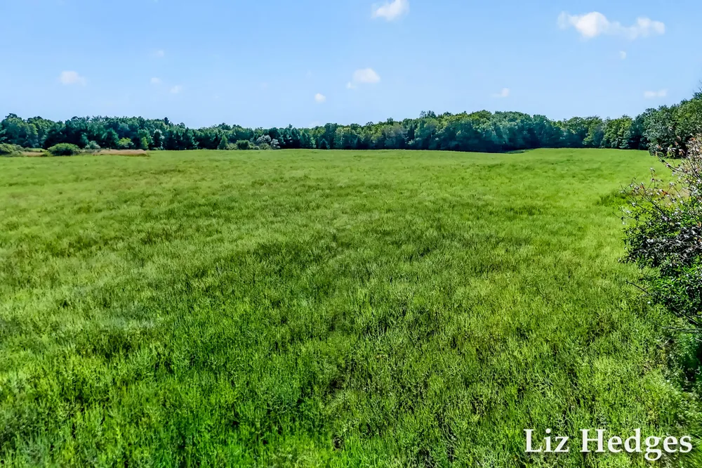 S 56th Avenue Montague, MI 49437