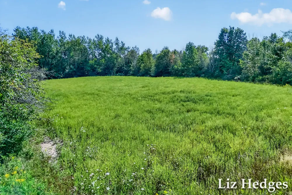 S 56th Avenue Montague, MI 49437