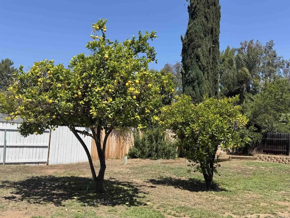 14744 Roberto Rio Road Poway, CA 92064