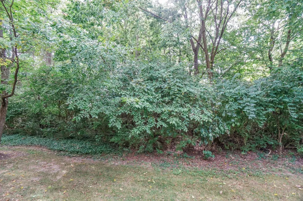 4185 Spyglass Hill Mason, OH 45040